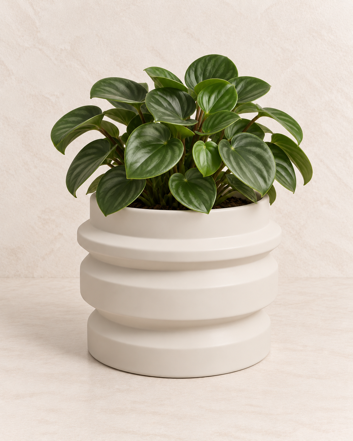 Cachepot em Cerâmica Branca Fosca Totem