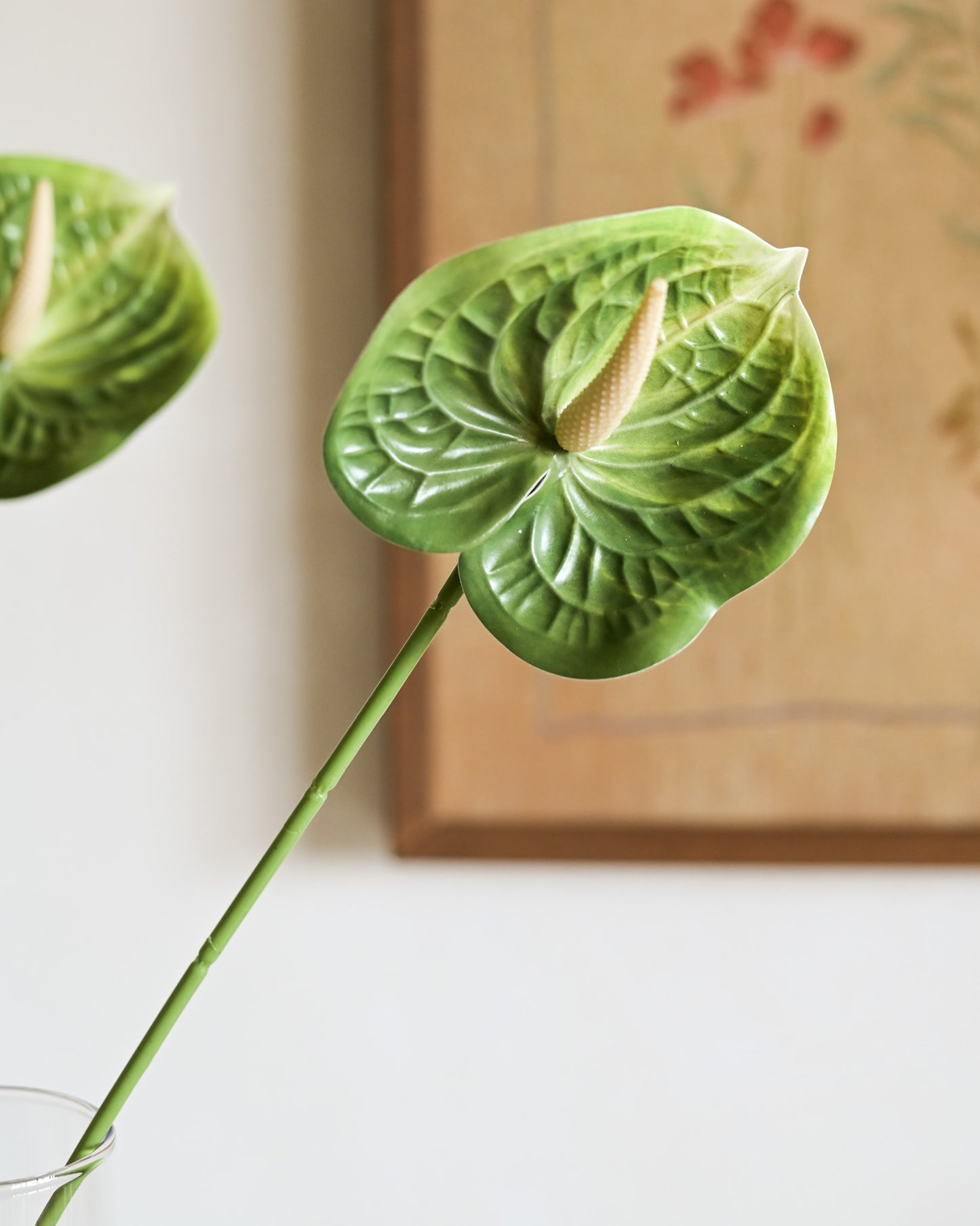 Haste Antúrio Toque Real