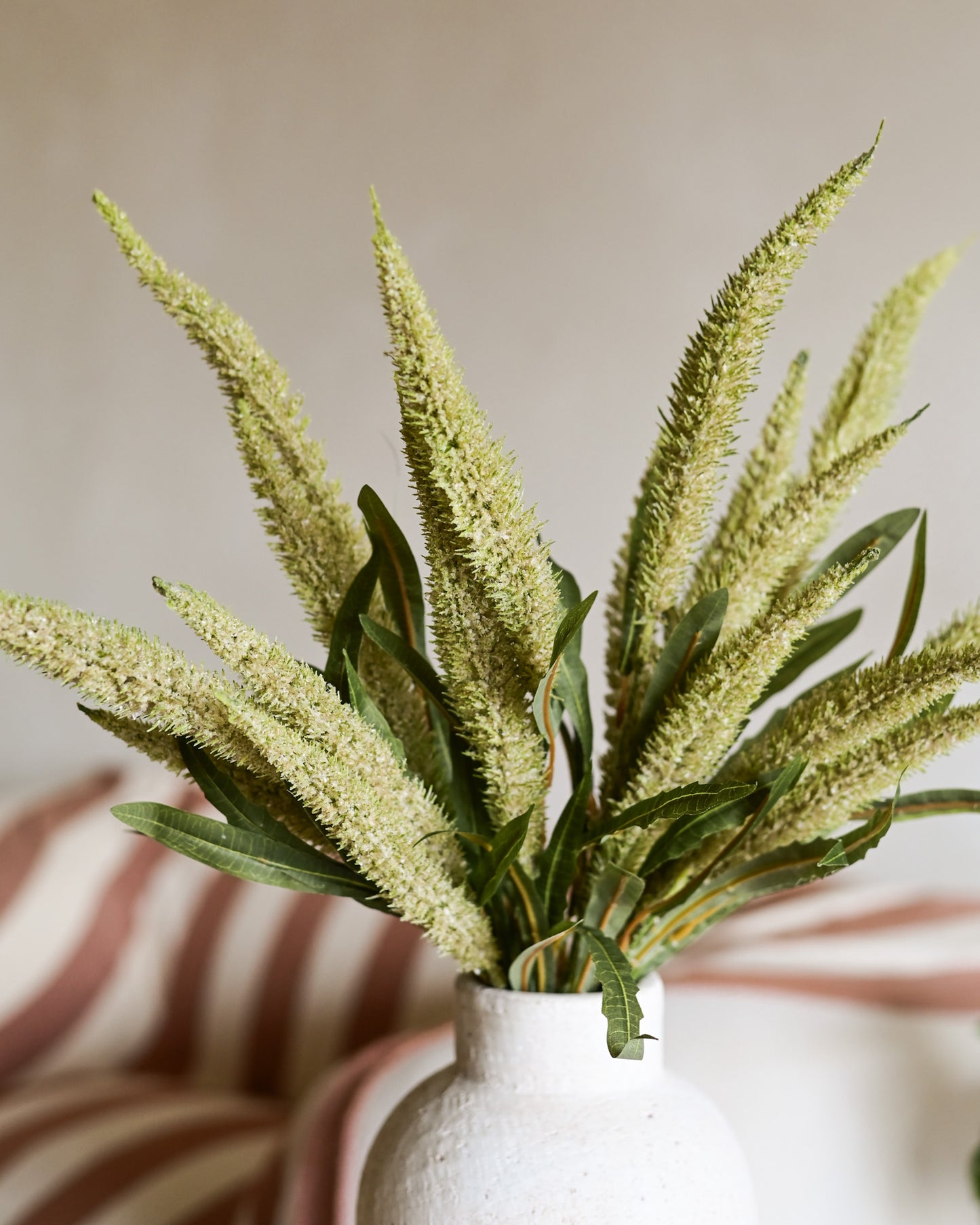 Buquê Capim Campestre Verde Seco