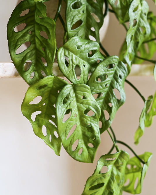 Haste Pendente Monstera Toque Real