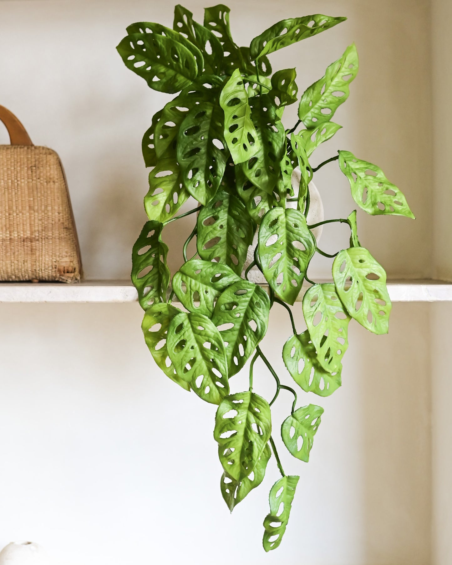 Haste Pendente Monstera Toque Real